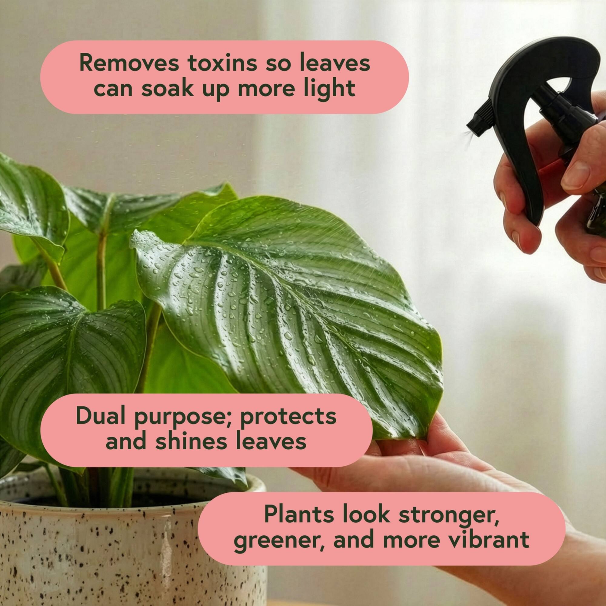 We The Wild™ 8.5oz. Protect Spray Organic Botanical Leaf Shine & Care for Houseplants